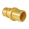 Apollo PEX-A 1/2 in. Expansion PEX in to X 1/2 in. D Sweat Brass Male Adapter EPXMS1212